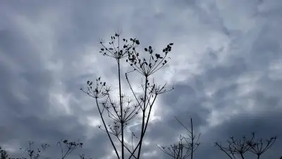 سماء غائمة جزئياً فوق مدينة في الضفة الغربية