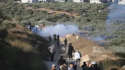 صورة رسمية – الجيش الإسرائيلي يعتقل العشرات بينهم مرشح للكونغرس خلال قطف الزيتون في الضفة الغربية