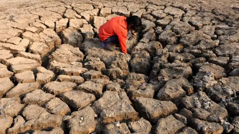 climate change