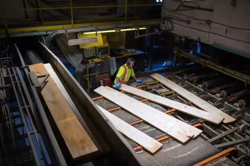 USA Wood sales