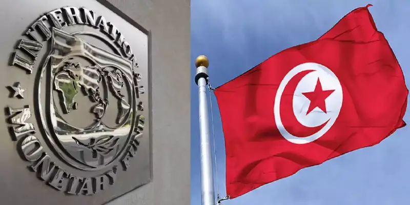 Tunisia صندوق الدعم الدولي