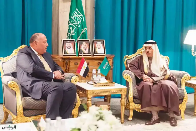 Egypt Palestine Saudi Arabia