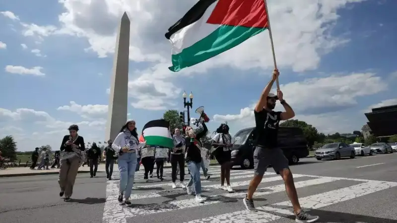 palastine flag