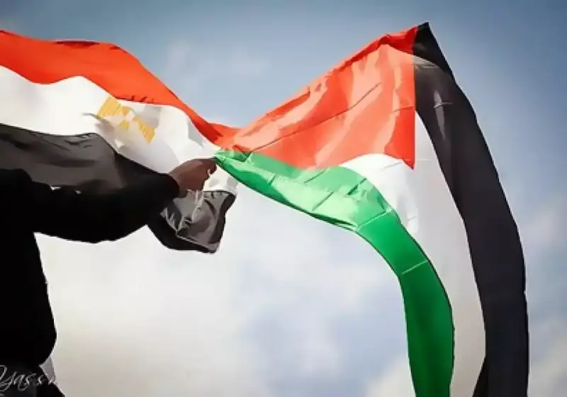 مصر فلسطين القاهرة اجتماع