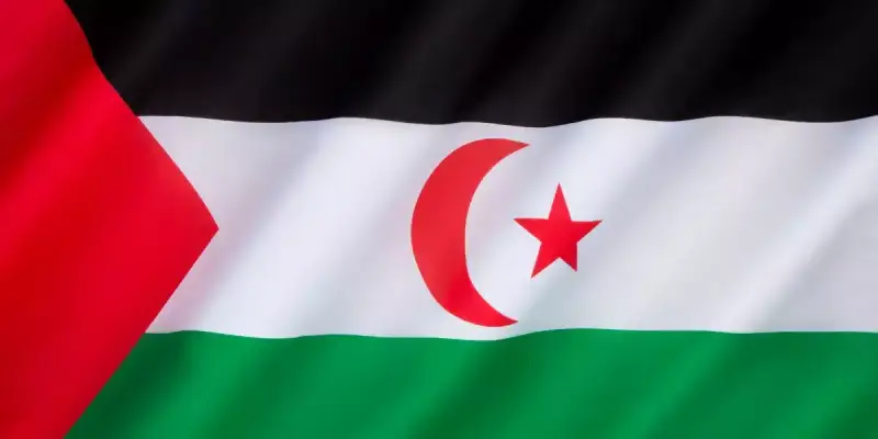 البوليساريو