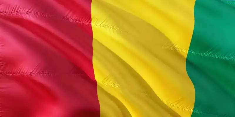 غينيا
