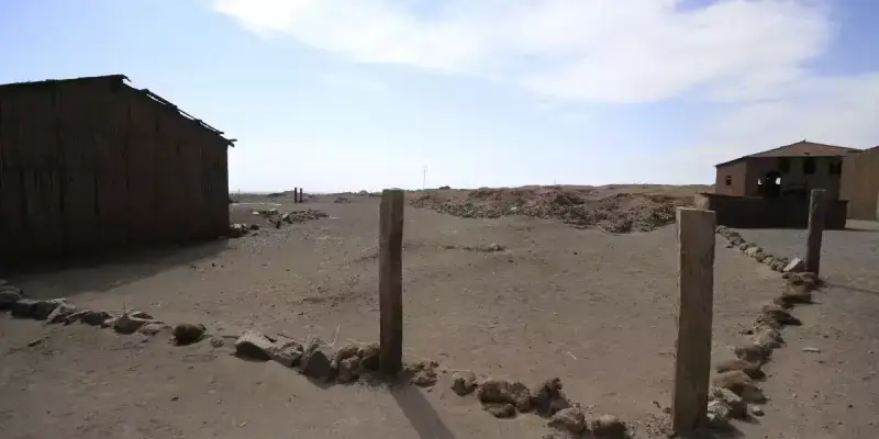مرفأ بيروت