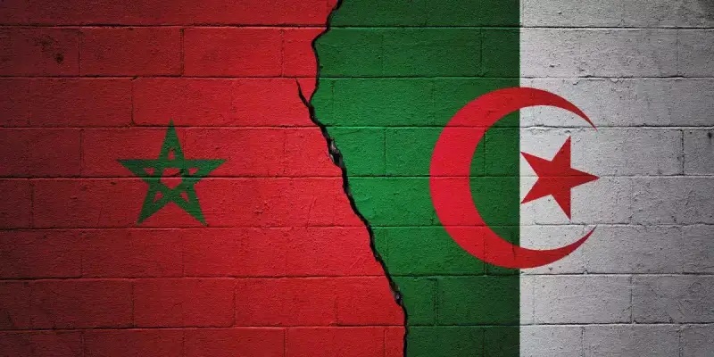 المغرب الجزائر