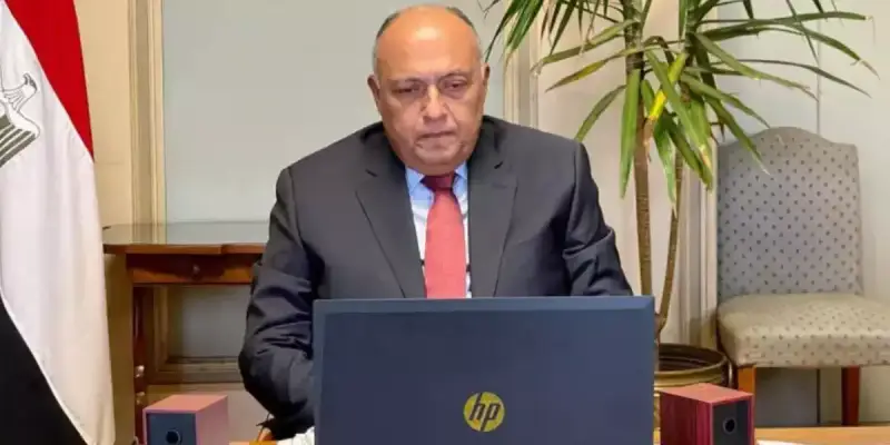 وزير الخارجية المصري