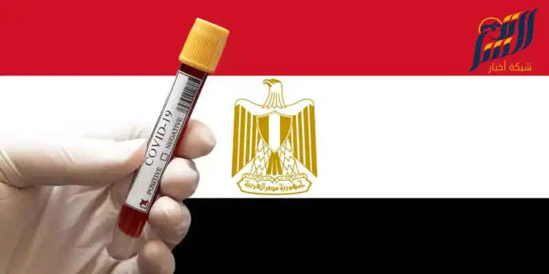 كورونا في مصر