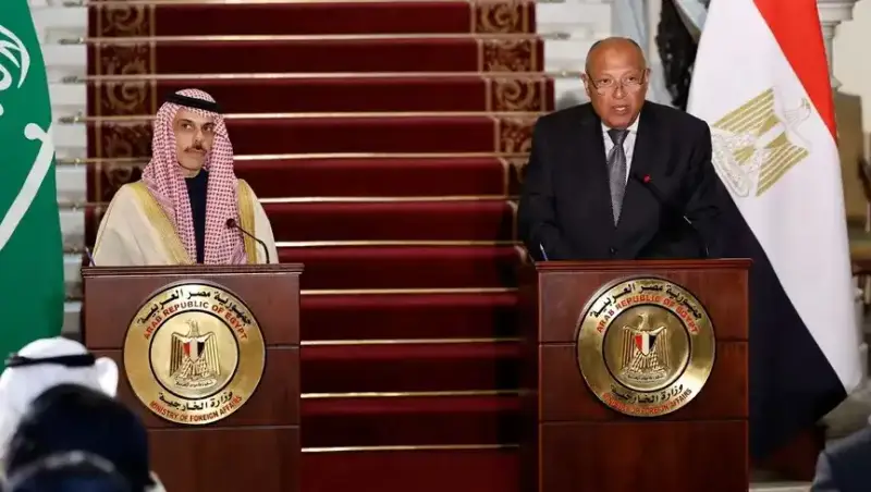 وزير خارجية مصر ونظيره السعودي