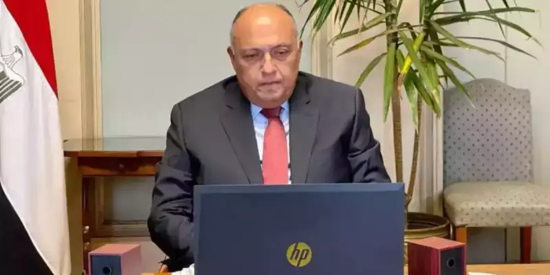 وزير الخارجية المصرية
