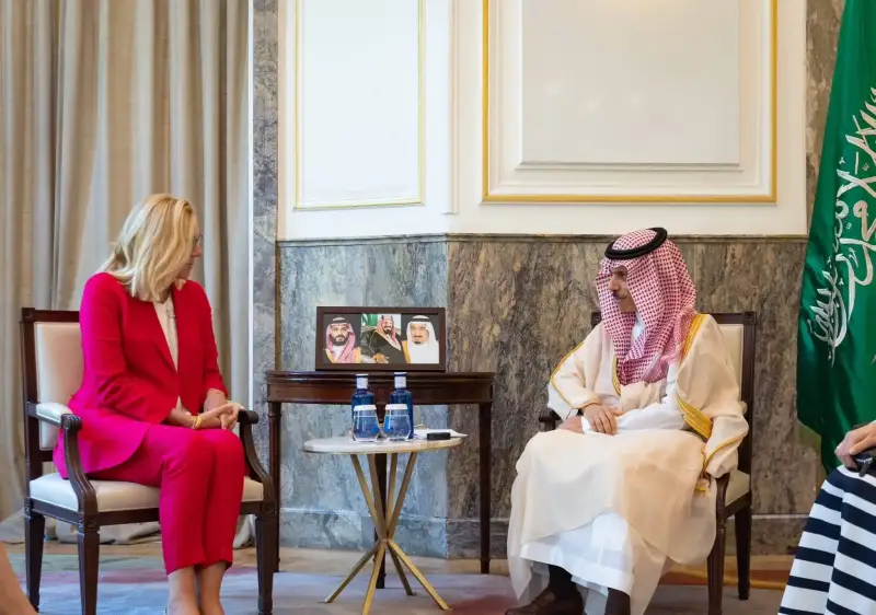 وزير الخارجية السعودي خلال اللقاء
