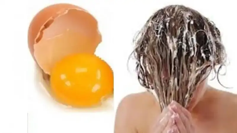 ماسك البيض
