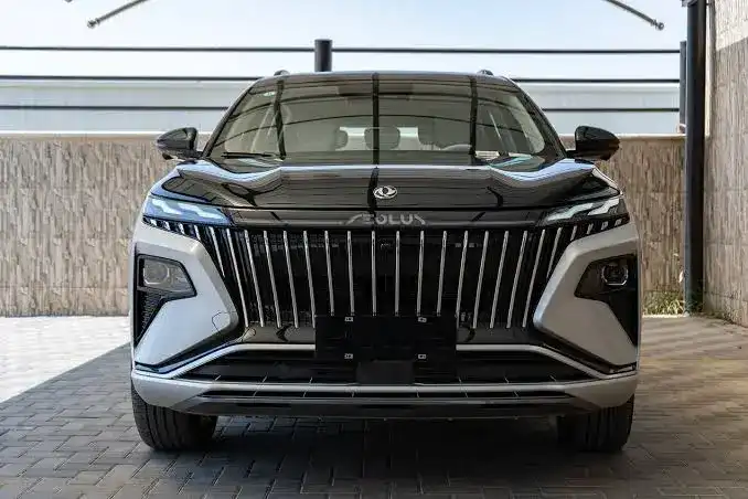 دونج فينج هيوج 2024
