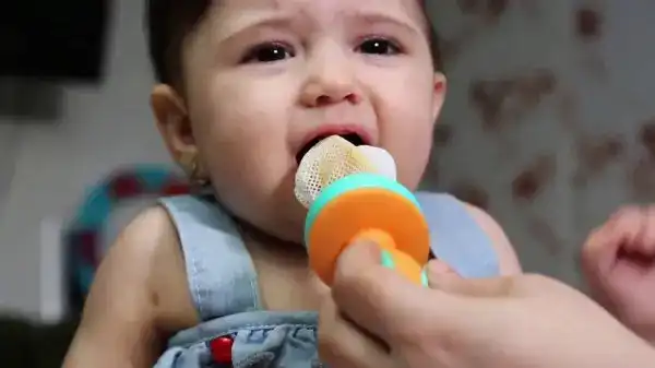 عضاضة الفواكه