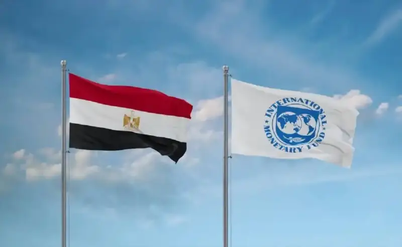 مصر والنقد الدولي