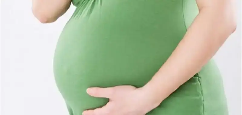 الحامل