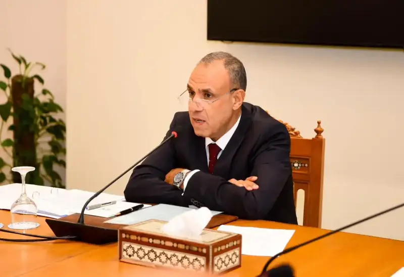 وزير الخارجية المصري