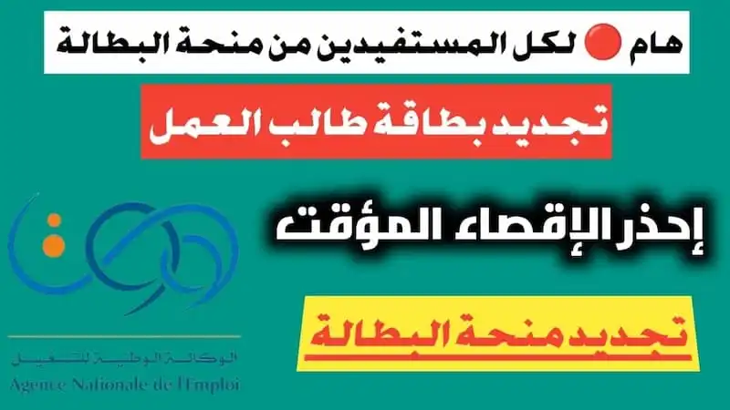 تجديد منحة البطالة كل 6 أشهر 2024 بالجزائر