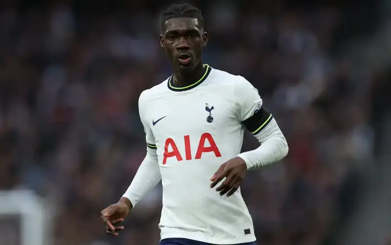 إيف بيسوما لاعب توتنهام