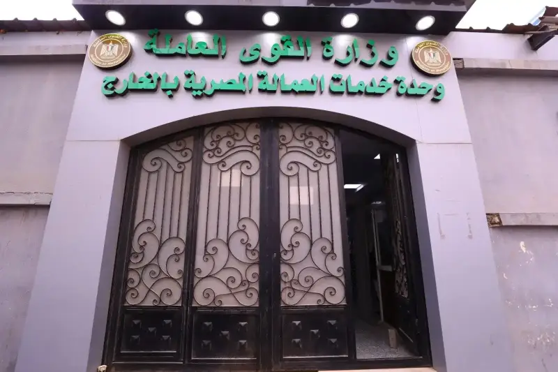 وزارة العمل المصرية