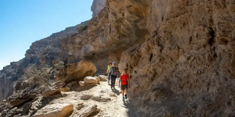 سلطنة عمان