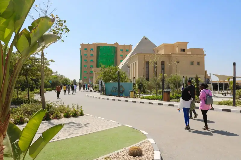 مصاريف جامعة النهضة 2025 في مصر