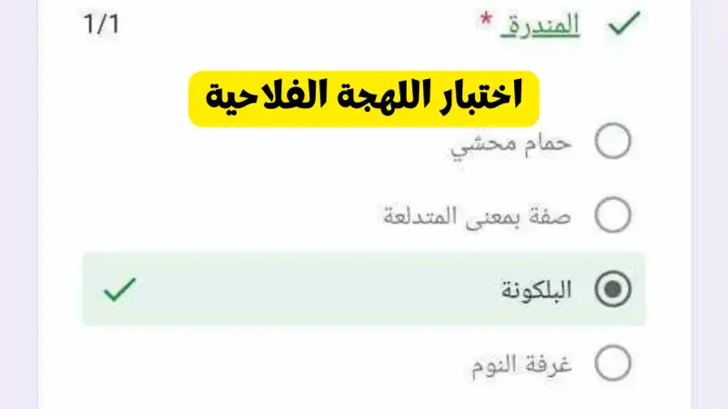 اختبار اللهجة الفلاحي