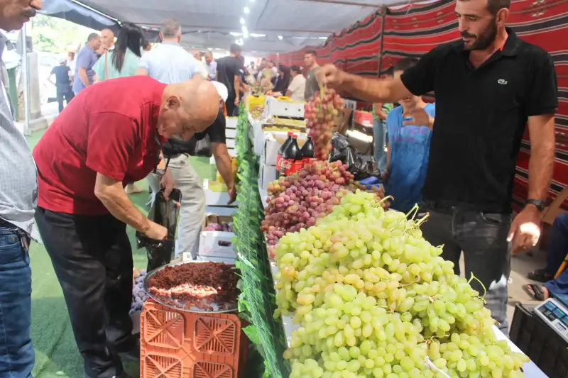 موسم العنب
