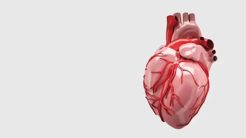 أطعمة طبيعية لعلاج انسداد الشرايين