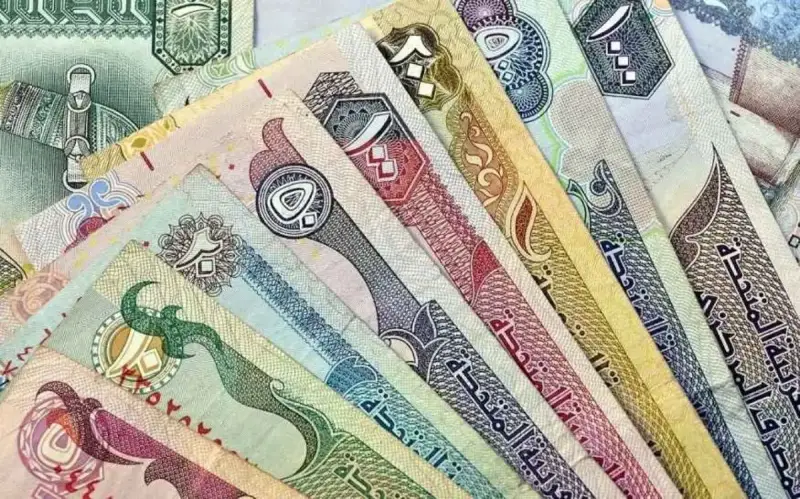 الدرهم الإماراتي