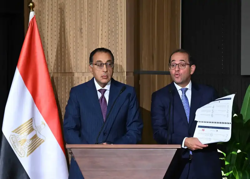 حكومة مصر
