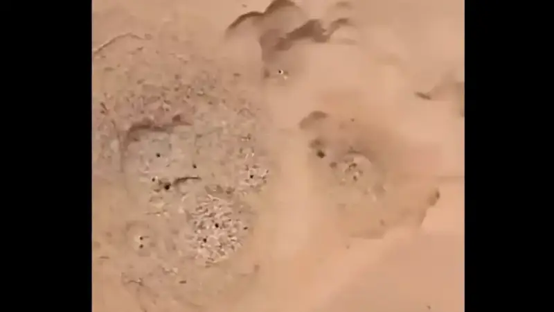 الأرض تتنفس بالسودان