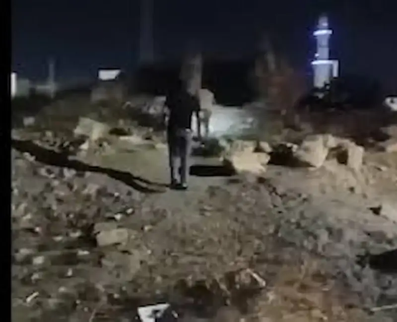 جنية الكرك
