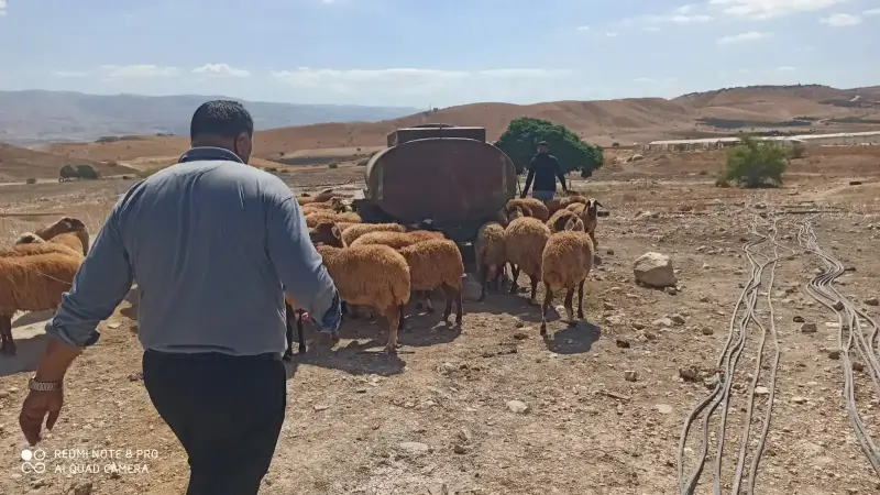 تواجد المزارعين في تجمعاتهم بالأغوار الشمالية