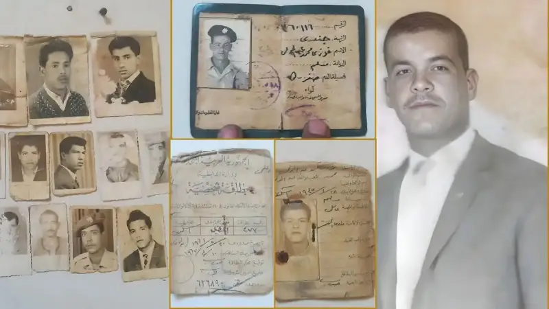 فوزي عبد المولى