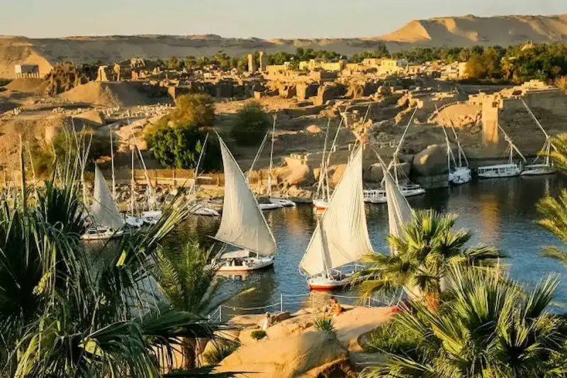 رد من وزارة الصحة بشأن انتشار المرض في أسوان