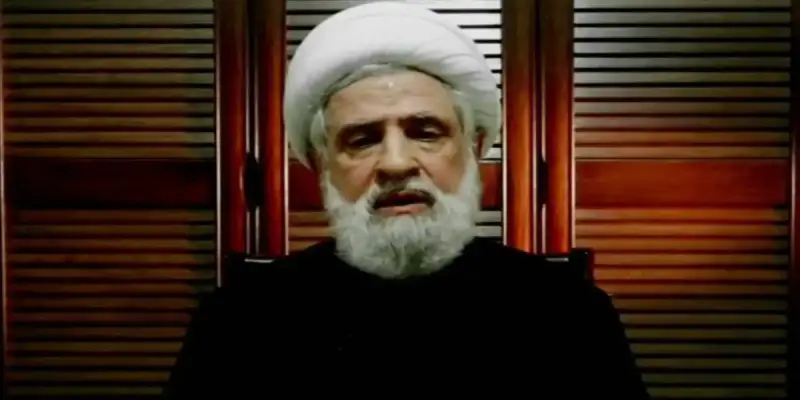 نعيم قاسم