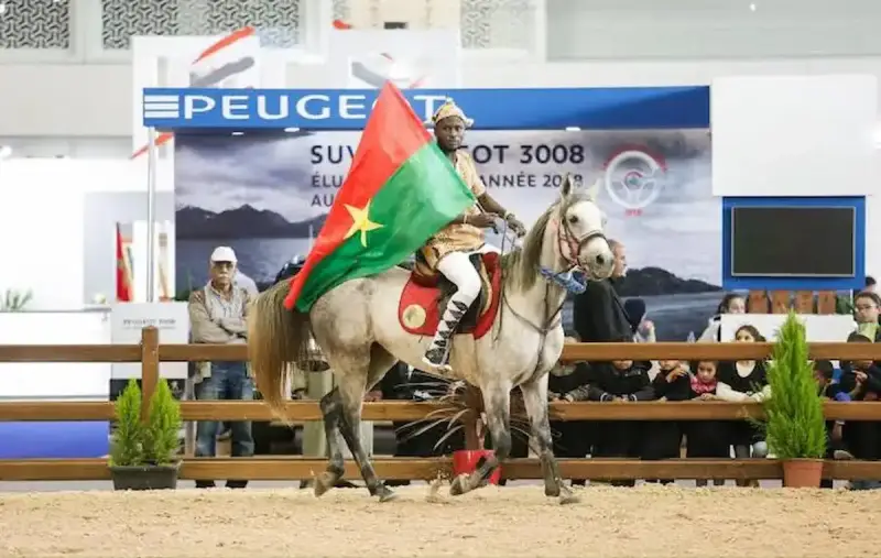 معرض الفرس بالمغرب