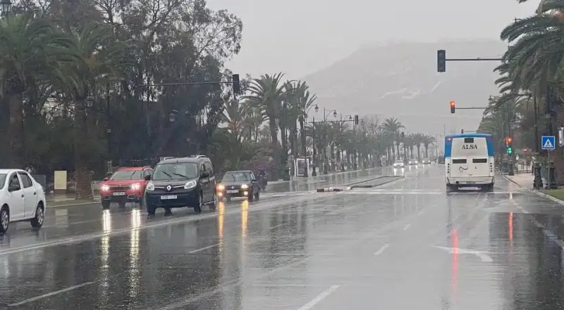 أمطار في الجزائر