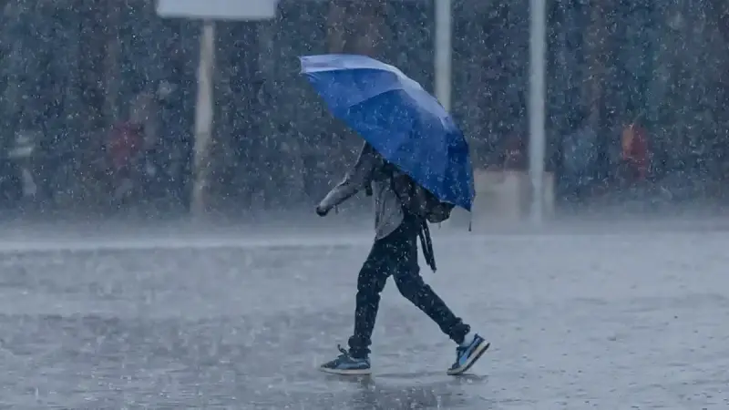 أمطار في الجزائر