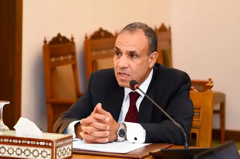السفير بدر عبدالعاطي