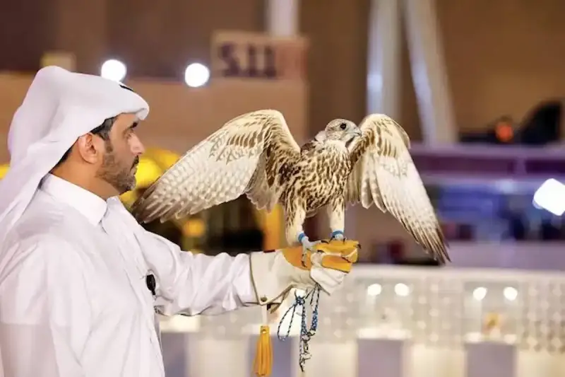 معرض الصقور والصيد السعودي الدولي
