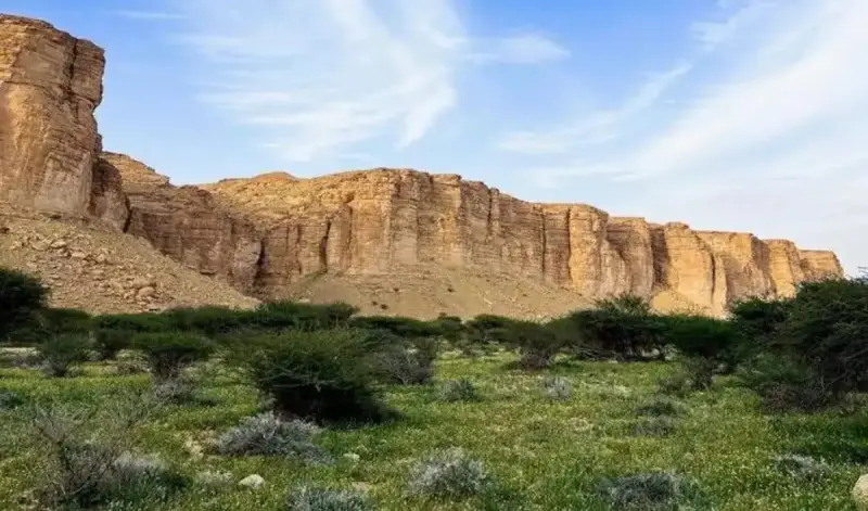 محمية الوعول السعودية