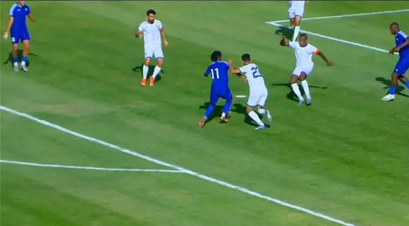 دوري المحترفين