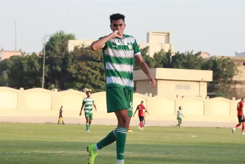 دوري المحترفين