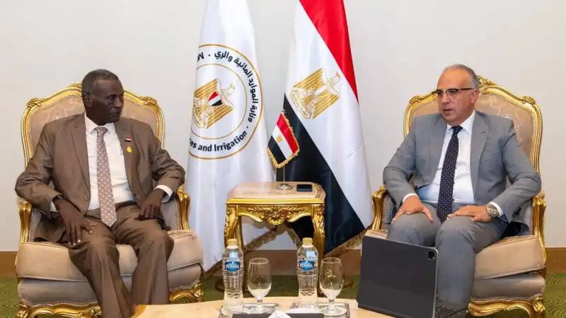 وزير الري المصري الدكتور هاني سويلم