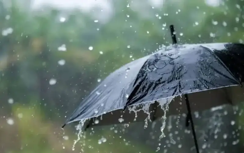 الديوان الوطني للأرصاد الجوية بالجزائر .. أماكن الأمطار على الولايات