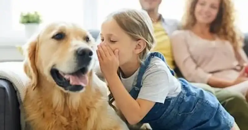 التحدث مع الحيوان الأليف